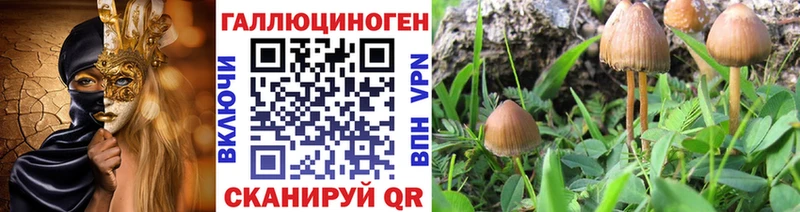 кракен ссылки  Миллерово  Псилоцибиновые грибы Psilocybe 