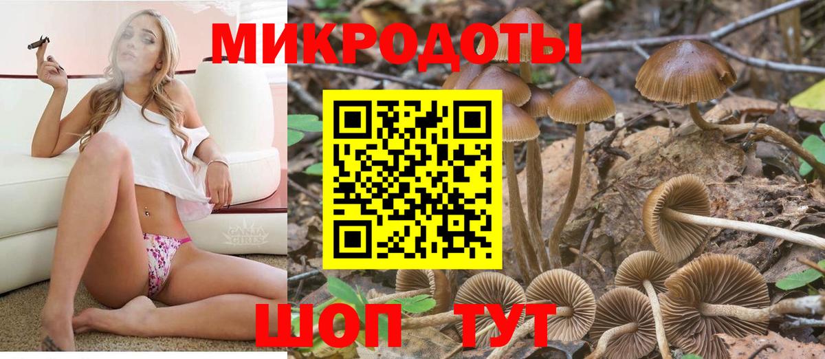 Псилоцибиновые грибы Cubensis  Вход с VPN  Псилоцибиновые грибы мухоморы  Миллерово 